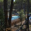 Piscina in un bosco con percorsi sospesi.