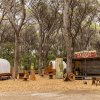 Strutture in stile western con carri coperti e un saloon tra alti alberi.