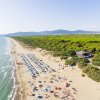 Una spiaggia affollata con ombrelloni colorati, contornata da una pineta e montagne in lontananza.