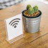 Un cartello con simbolo Wi-Fi accanto a un vaso con piccoli cactus.