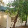 Struttura bianca accanto ad alberi.