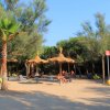 Spiaggia con ombrelloni di paglia e palme.
