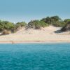 Una spiaggia sabbiosa con vegetazione, vista dal mare calmo e blu.