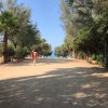 Viale alberato che conduce a una spiaggia, con una persona che cammina verso il mare in lontananza.