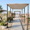 Una passerella in legno su una spiaggia, fiancheggiata da piante.