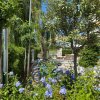 Biciclette appoggiate a un albero, circondate da piante verdi e fiori viola.