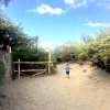 Bambino cammina su un sentiero sabbioso circondato da arbusti sotto un cielo azzurro.