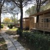 Casette in legno immerse tra gli alberi con sentiero pavimentato.