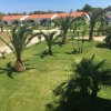 Giardino con palme su un prato verde, tetti rossi di edifici sullo sfondo.