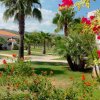 Un giardino fiorito con palme e arbusti vicino a edifici bianchi.