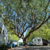 Camper e tende in un'area campeggio circondata da alberi.