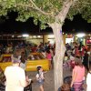 Folla di persone in un'area esterna con giochi gonfiabili sotto un albero.