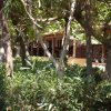 Giardino con alberi e piante, vista su una veranda ombreggiata.