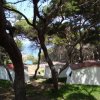 Diverse cabine tra alberi in un bosco vicino al mare.