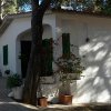 Casa bianca con finestre verdi, ombreggiata da alberi, sedie colorate sul patio.