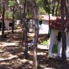 Complesso di casette bianche tra alberi, con tetti rossi e ombra sul terreno.