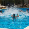 Villaggio Camping Johnny (FM) Marche