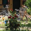 Due biciclette parcheggiate in un giardino con fiori.