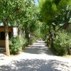 Sentiero tra bungalow gialli con alberi e arbusti lungo i lati.