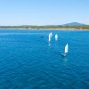 Barche a vela sul mare blu, con costa verdeggiante e montagne sullo sfondo.