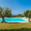 Piscina circondata da ulivi e lettini su un prato verde sotto un cielo limpido.