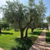 Un giardino con vialetto lastricato e diversi alberi frondosi, illuminato dalla luce del sole.