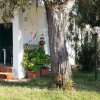 Una veranda con gradini in ceramica rossa, pianta in vaso e albero, accanto a un lampione nero.