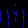 Figure con tute fluorescenti e cerchi illuminati in un ambiente scuro.