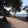 Un vialetto costeggiato da alberi vicino al mare.