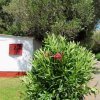 Bungalow bianco con infissi rossi circondato da alberi e piante fiorite.
