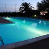 Piscina illuminata di sera con una palma sullo sfondo.