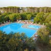 Piscina con lettini e alberi circostanti.
