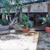 Ingresso di un edificio con piante in vaso ed un albero, scritta 