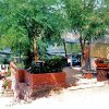 Un'area campeggio con roulotte, alberi e vista mare.
