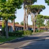 Viale alberato con villette ai lati.