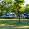 Roulotte parcheggiate in un'area verde con alberi intorno.