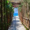 Passerella in legno tra piante con vista sul mare azzurro.