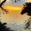 Tramonto sul mare tra gli alberi.