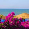 Fiori rosa su uno sfondo di ombrelloni e mare.
