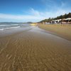 Spiaggia sabbiosa con ombrelloni, lettini e dune alberate sotto un cielo azzurro.