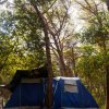Una tenda blu tra gli alberi in una foresta, illuminata dalla luce del sole.