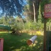 Area agility per cani in un giardino.
