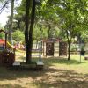 Un parco giochi con strutture per arrampicarsi circondato da alberi.