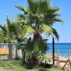 Spiaggia con palme e cartello 