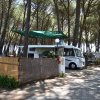 Area camper ombreggiata tra gli alberi, con due camper parcheggiati.