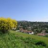 Taunus Vacanze (AN) Marche