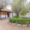 Una casa bianca circondata da alberi e cespugli, con giardino e vialetto di terra.