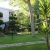 Giardino verde con sentieri e alberi.