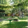 Giardino verde con vialetto tra alberi e piante.