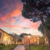 Abitazioni al tramonto con cielo rosa e alberi alti.